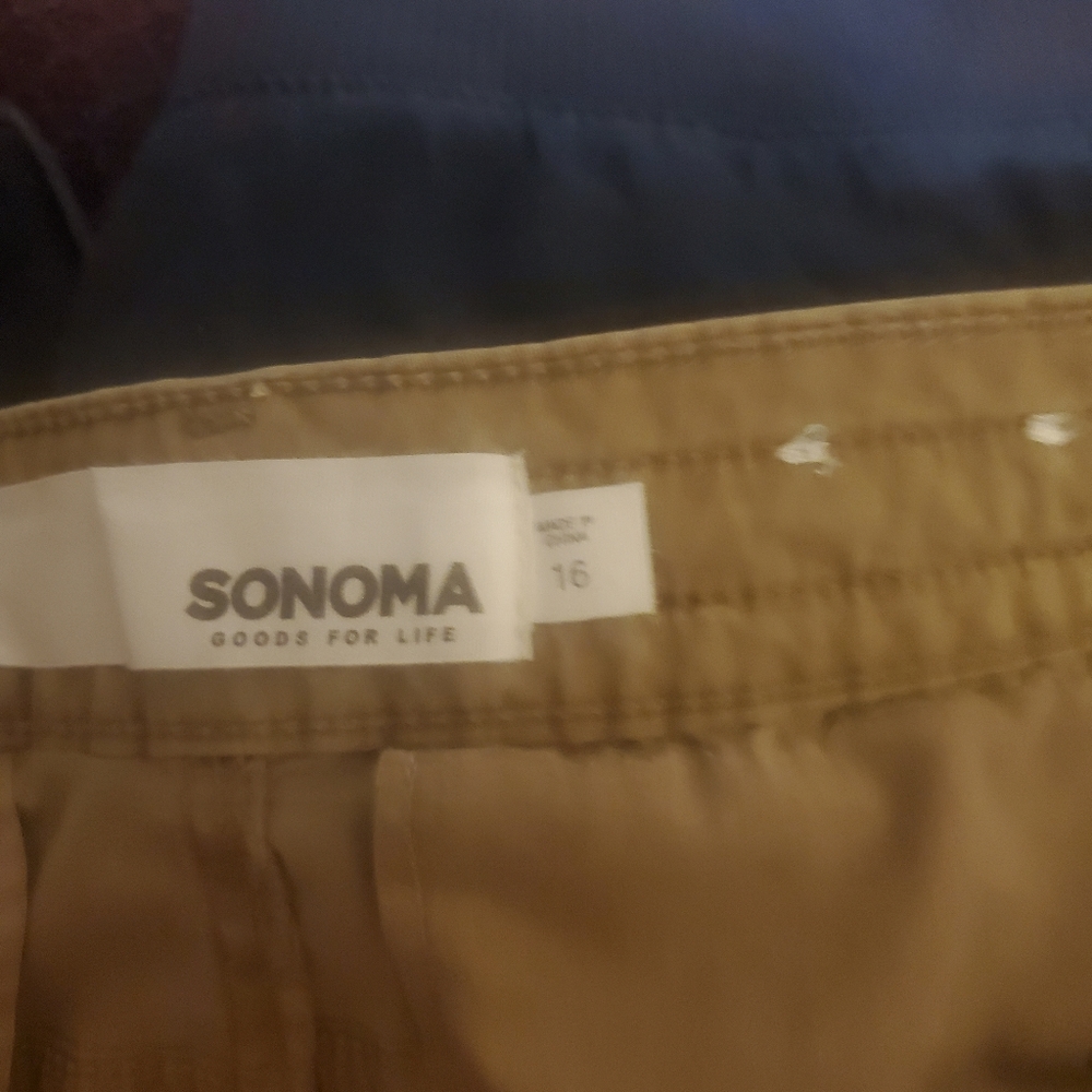 Sonoma shorts